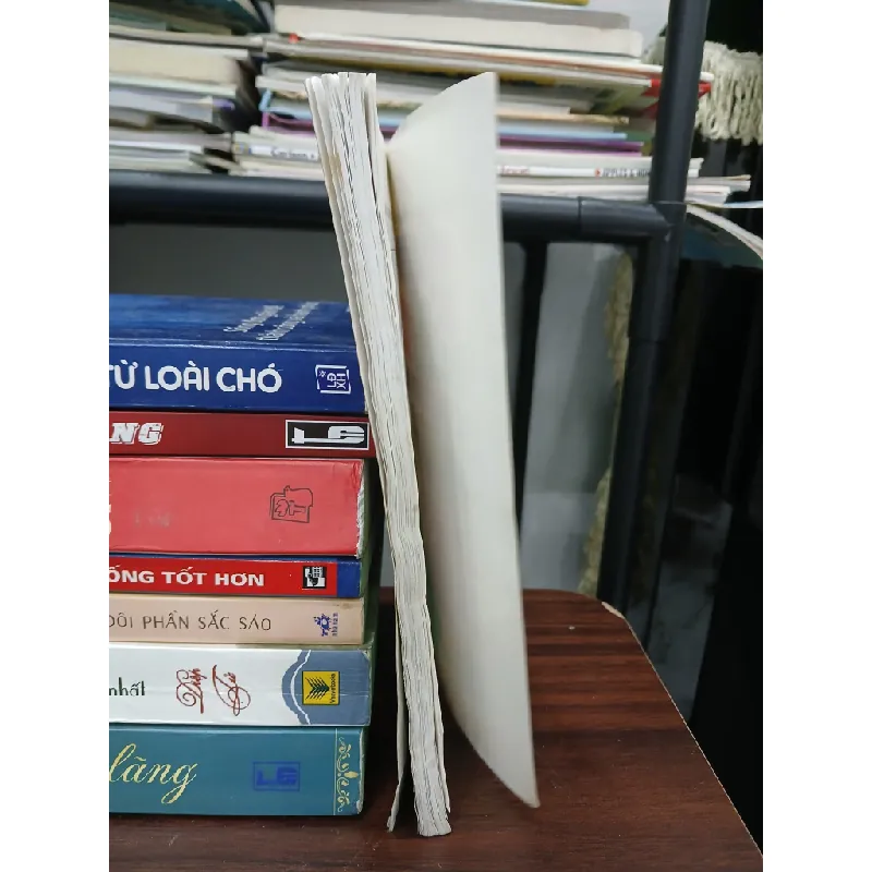 1 nụ cười bằng 10 thang thuốc bổ – Trần Trường Minh 576147