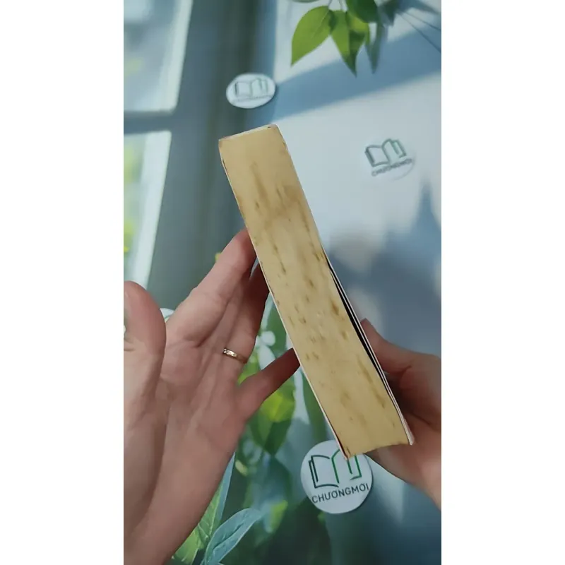 Khi Ta Đi Lướt Qua Nhau - Dạ Dao 1018875