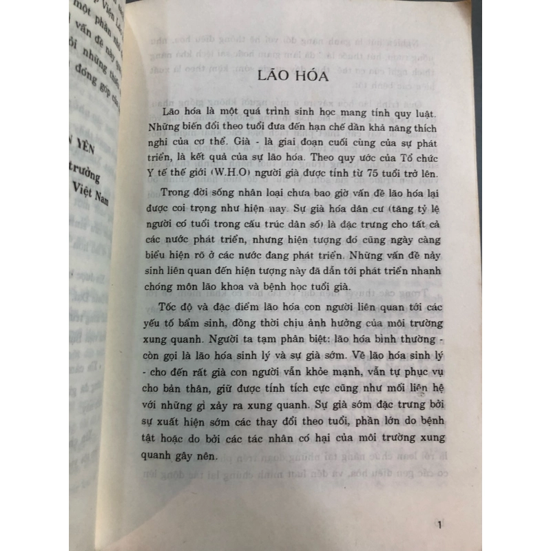 LÃO HOÁ - Đoàn Yên 461842