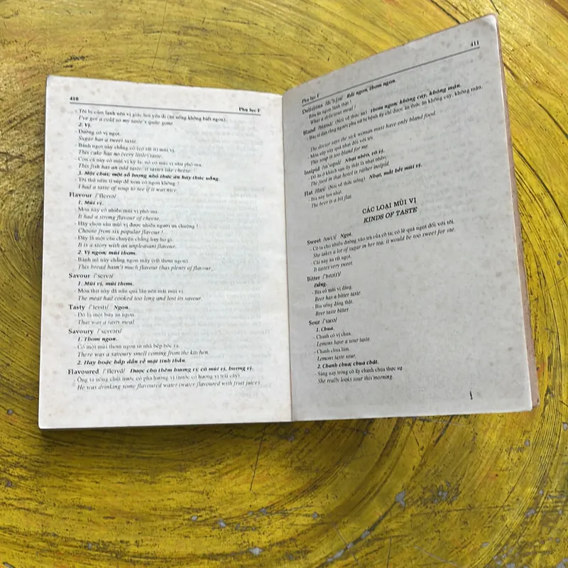 TỪ ĐIỂN Y HỌC ANH ANH VIỆT- LÂM PHƯƠNG THẢO 603157