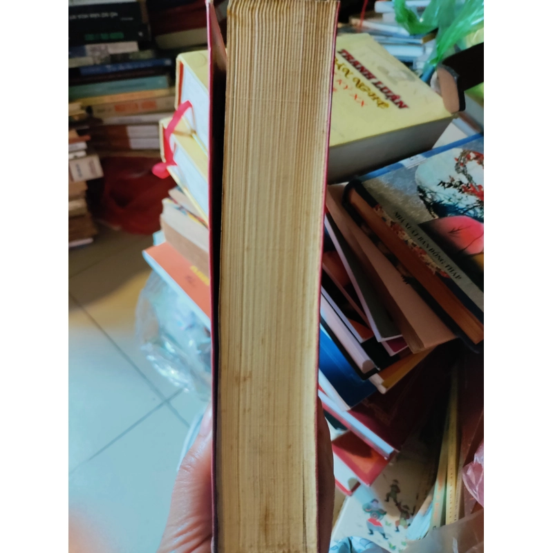 Mặt người mặt hoa 443545