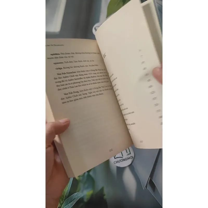 Hạnh Phúc Đến Từ Sự Biến Mất - Ajahn Brahm 961190