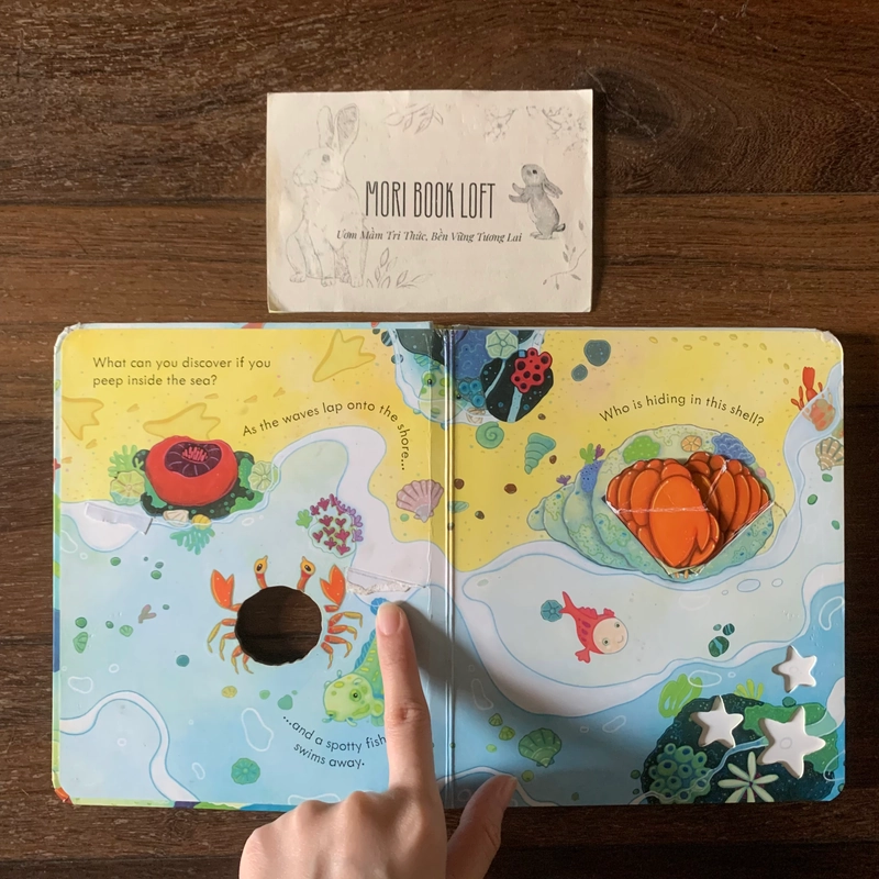 Sách ngoại văn Peep Inside The Sea - M.ấ.t Flap trang 1,3, miếng lật cũ, Used 540734
