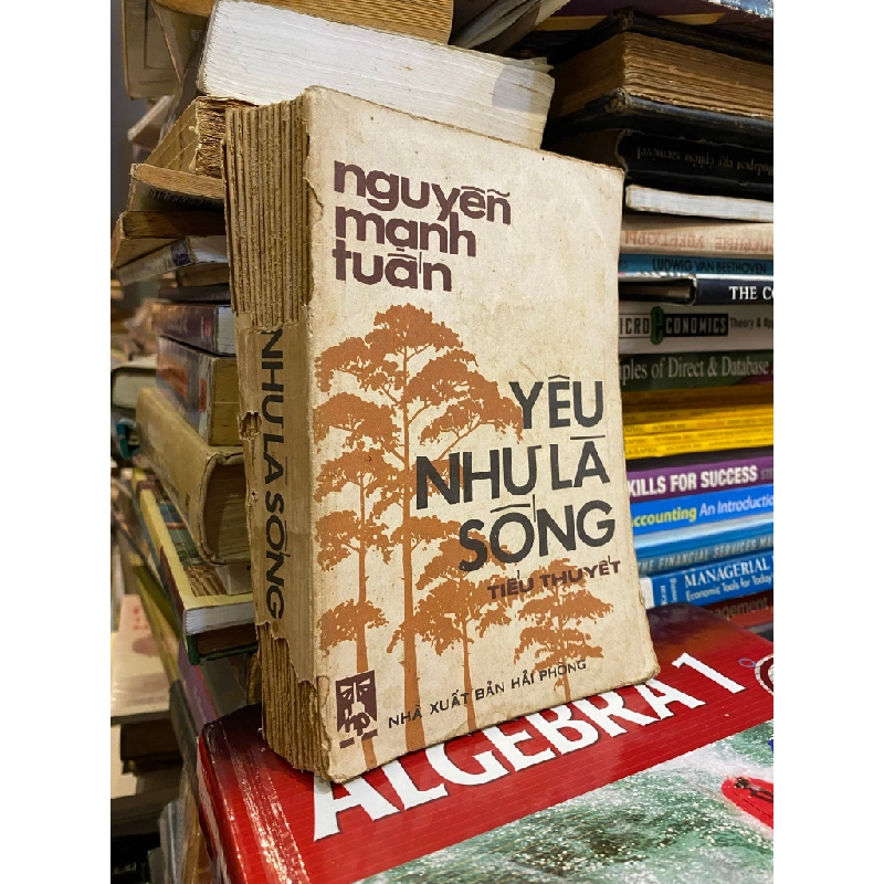 YÊU NHƯ LÀ SỐNG - NGUYỄN MẠNH TUẤN 136463