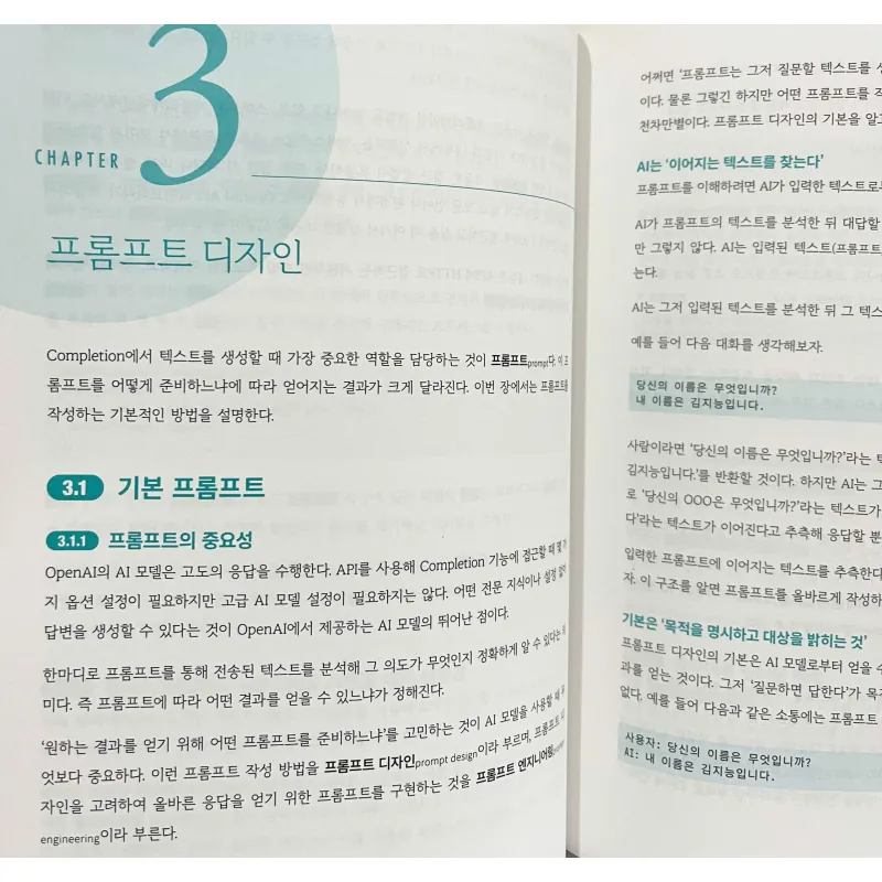 파이썬과 자바스크립트로 배우는 OpenAI 프로그래밍 788943