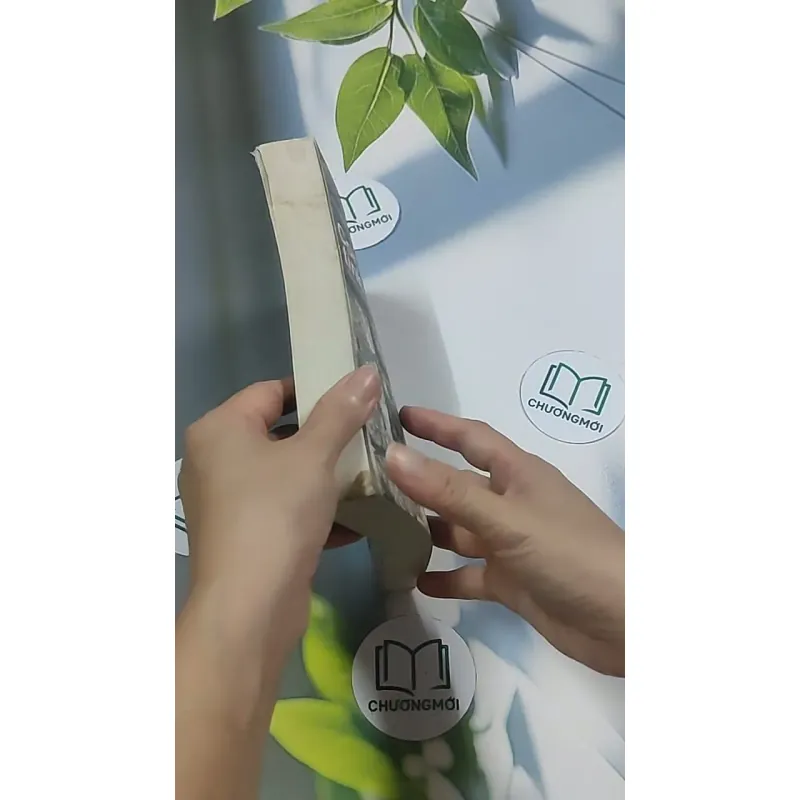 Con rể tỉnh trưởng - Phương Vỹ 695009