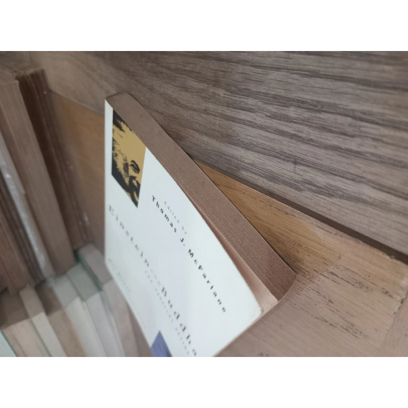 Einstein and Buddha - Thomas J. McFarlane 1010871