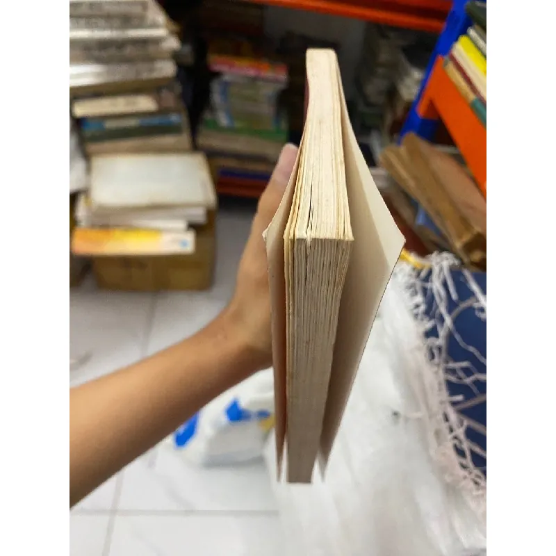 La Dynastie Des Nguyen Les Neuf Seigneurs Les Treize Rois - Thi Long 560632