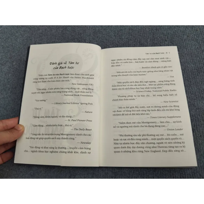 TÂM TƯ CỦA BẠCH TUỘC 990666