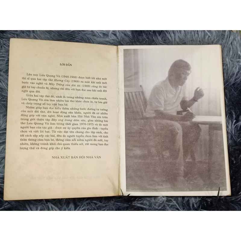 Bầy ong trong đêm sâu 477740