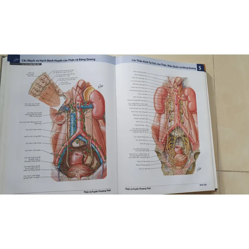 ATLAS 7 GIẢI PHẪU  1008119