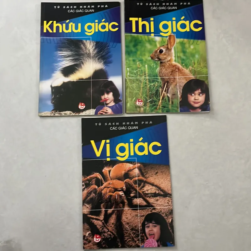 Khứu giác - Vị giác - Thị giác (3 cuốn) 596741
