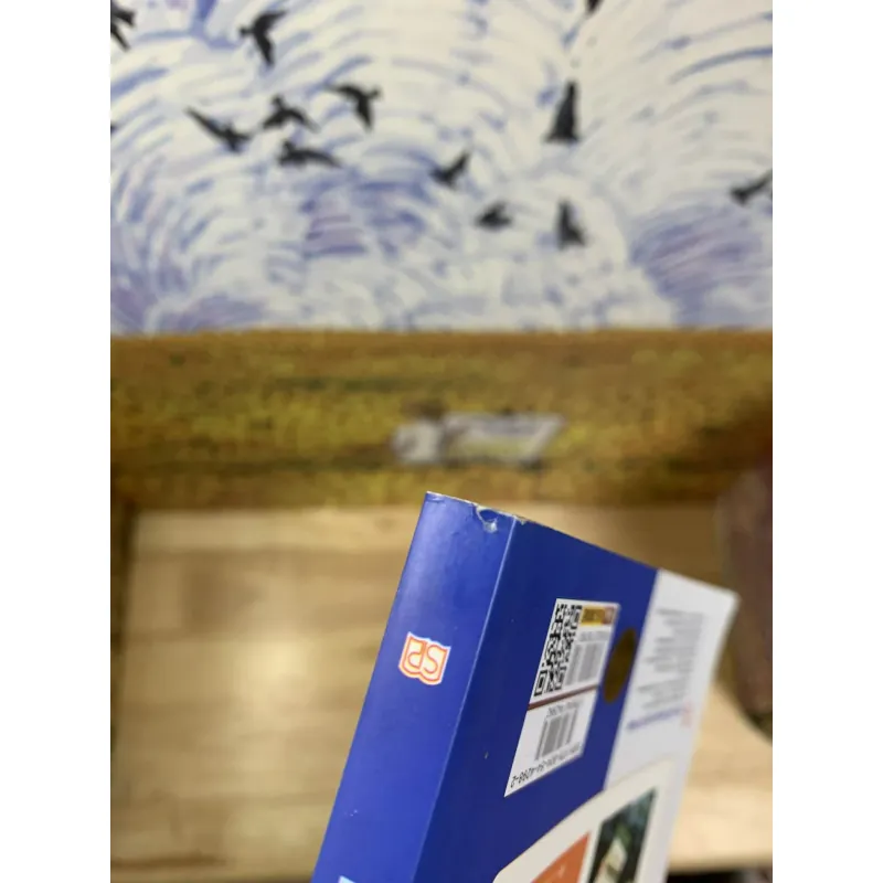 Những Tiểu Thuyết Của Robbe-Grillet - Bruce Morrissette 731566