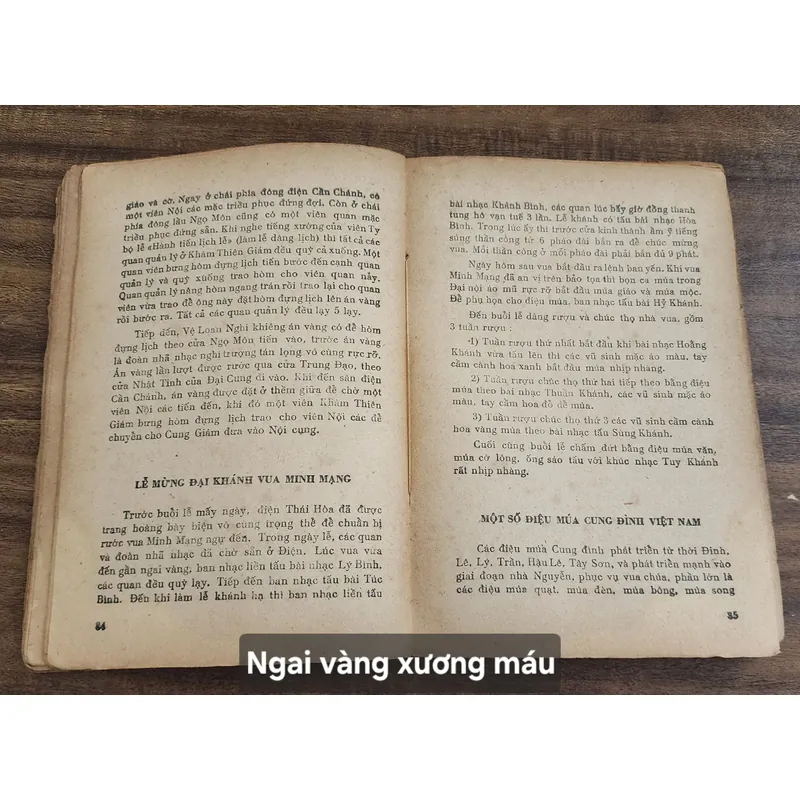 [Tủ sách Sông Hương 1988]
-
NGAI VÀNG XƯƠNG MÁU 713112