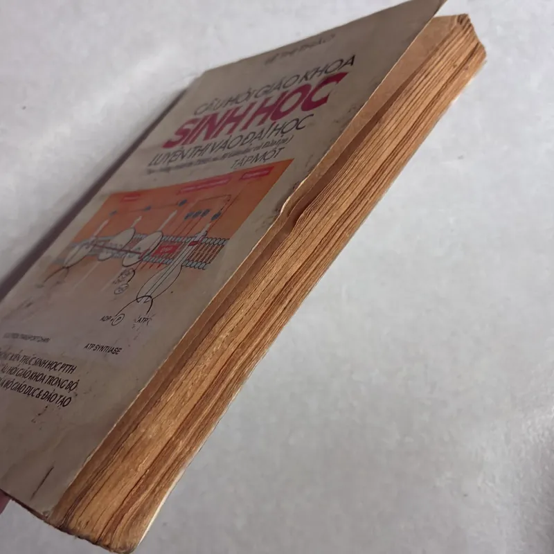 Câu hỏi giáo khoa Sinh học học luyện thi vào đại học Tập 1 - Lê Thị Thảo 783662