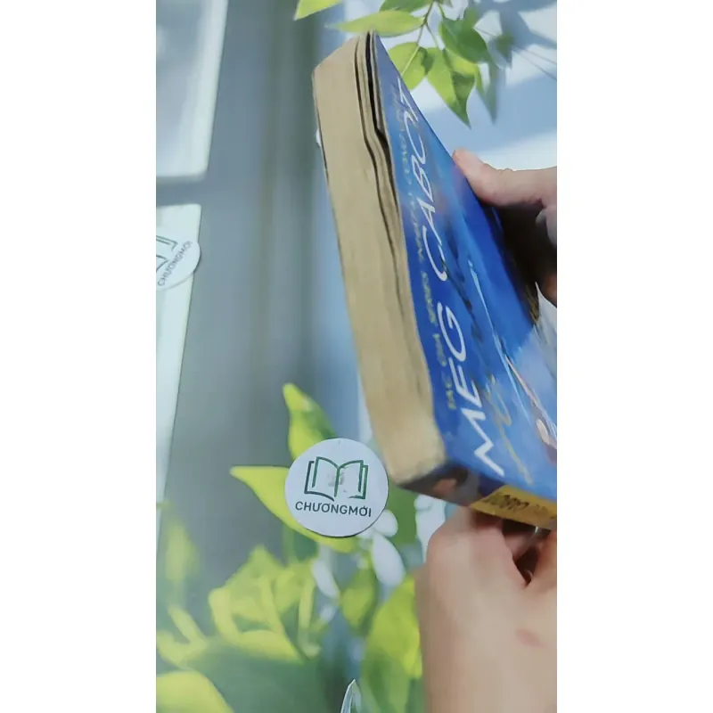 Airhead 1: Tìm Lại Chính Mình - Meg Cabot 744774