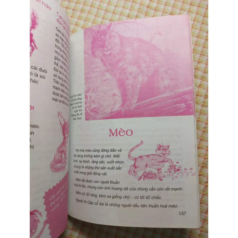 ĐỘNG VẬT • THẾ GIỚI DIỆU KỲ 782629