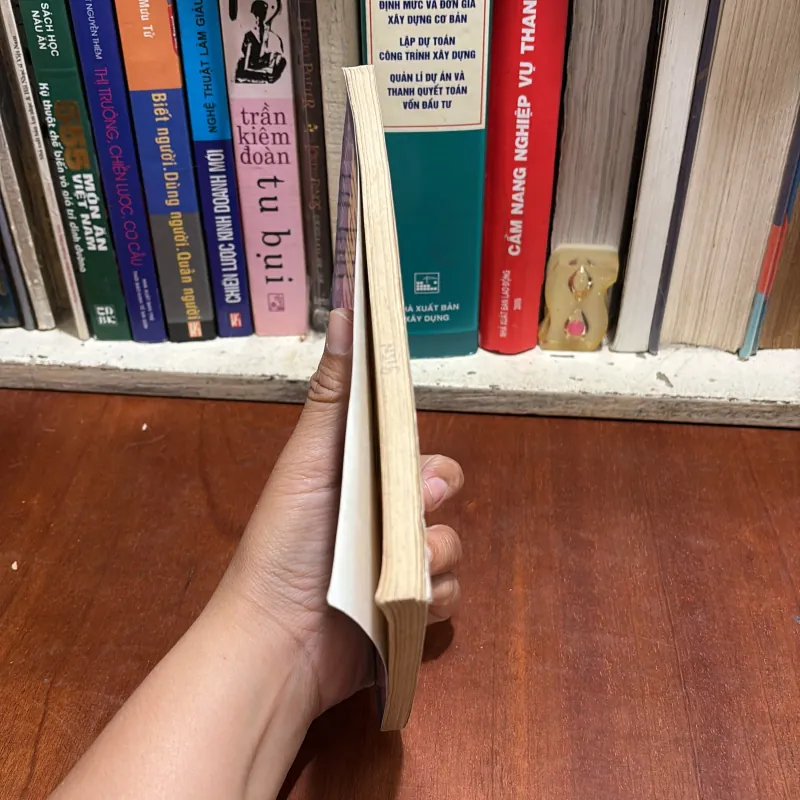 II Công Việc: 10 Nghề Hái Ra Tiền - Hoàng Thanh Minh - 1994 800360