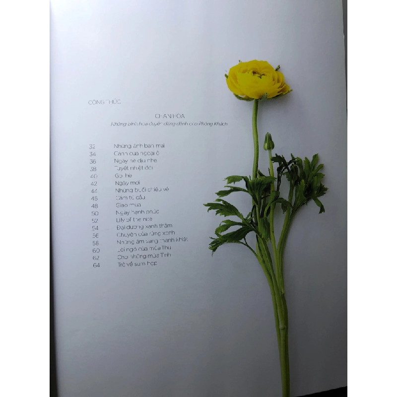 Blossom in home Nhà là nơi những sắc hoa ngập tràn 2015 mới 90% Bảo Nam HPB3007 TẠP CHÍ, THIẾT KẾ, THỜI TRANG 458699
