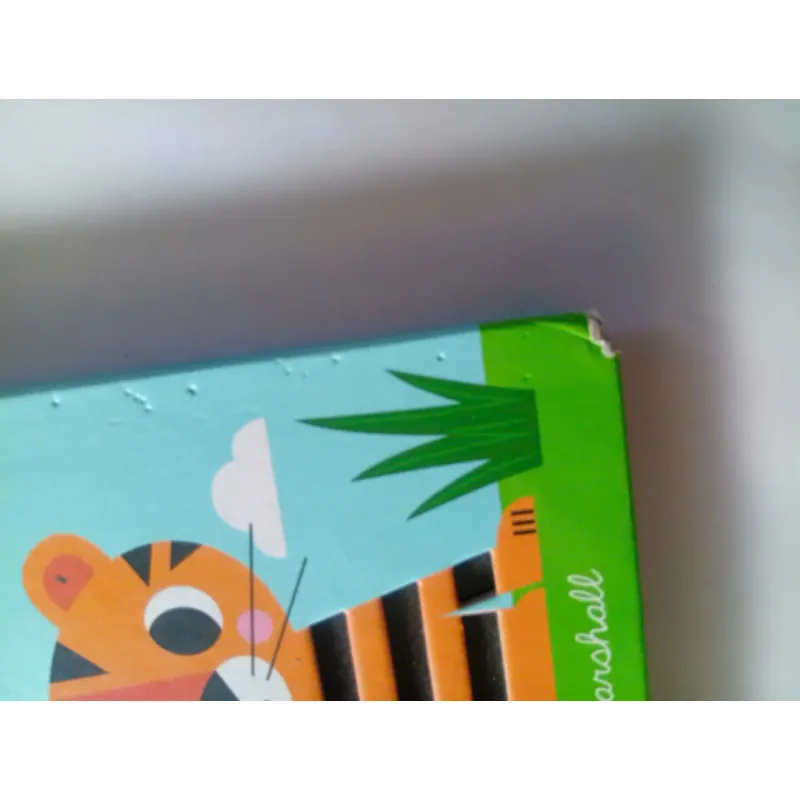 Hello, Orange Tiger 993538