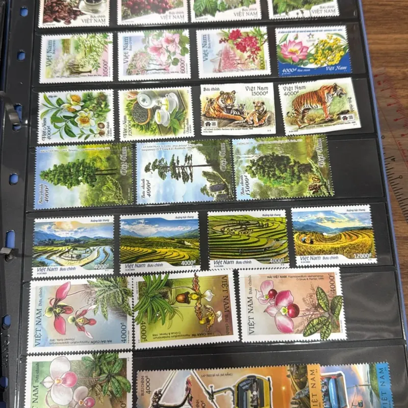 Thanh lý tem 1013551