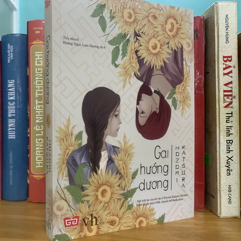 Gai hướng dương 575645
