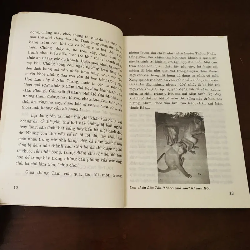 Tiếng kêu của thú rừng  974253