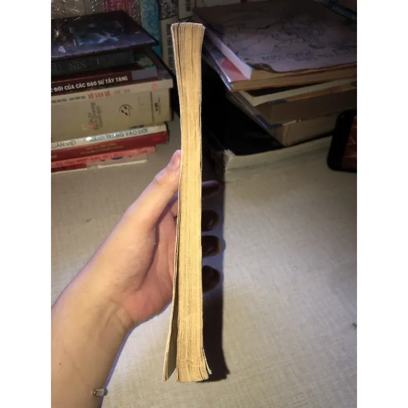 Hai Khối Tình Hồ Biểu Chánh-Nhà xuất bản văn hoá sài gòn 935190