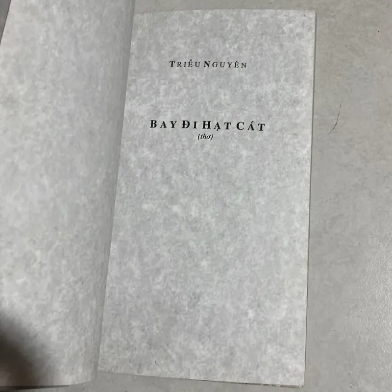 Bay đi hạt cát - Triều Nguyên 588616