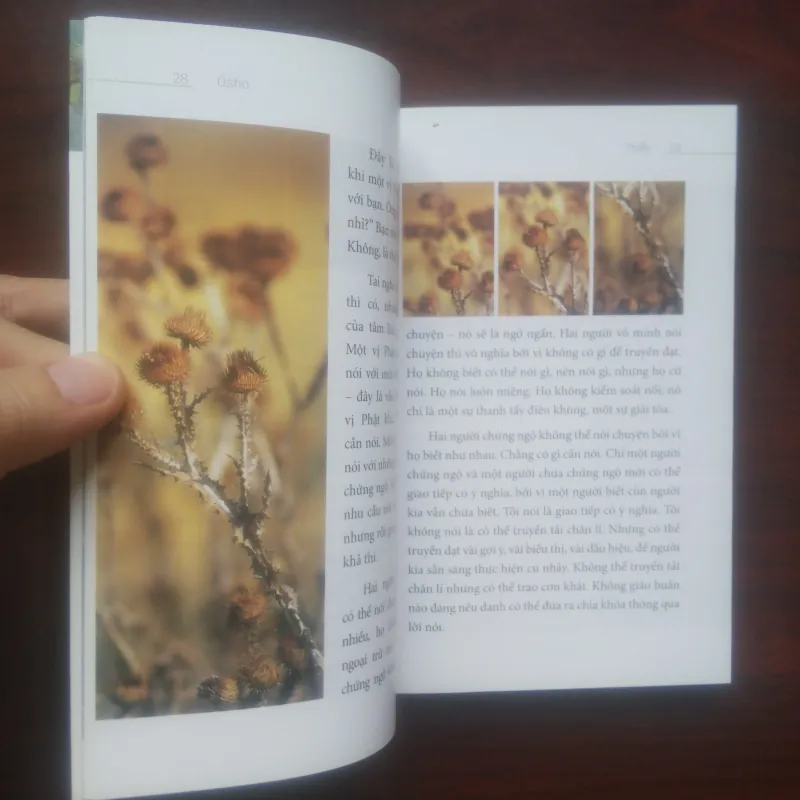 [Sách Tâm Linh] Thiền (Osho) 974624