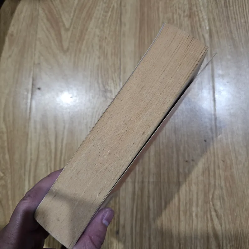 The amber spyglass  1012822