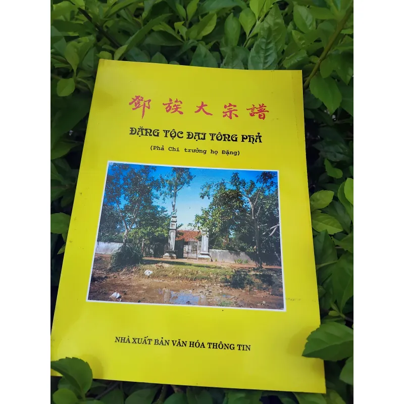 Đặng tộc đại tông phả ( phả chi trưởng họ Đặng )  981584