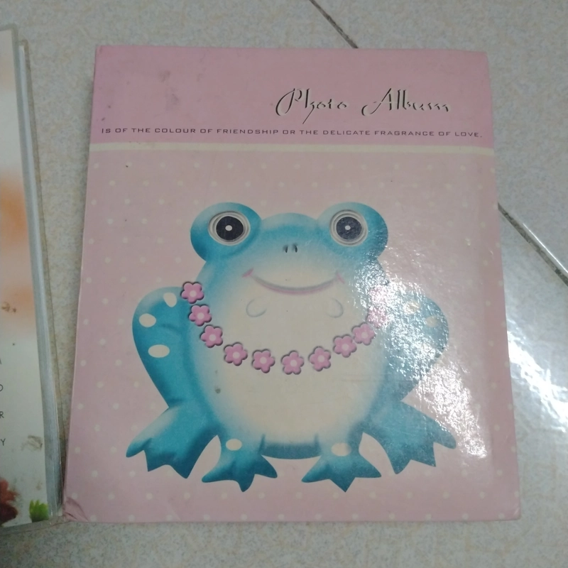 Combo 2 album ảnh 10x15cm đựng được 100 ảnh 537164