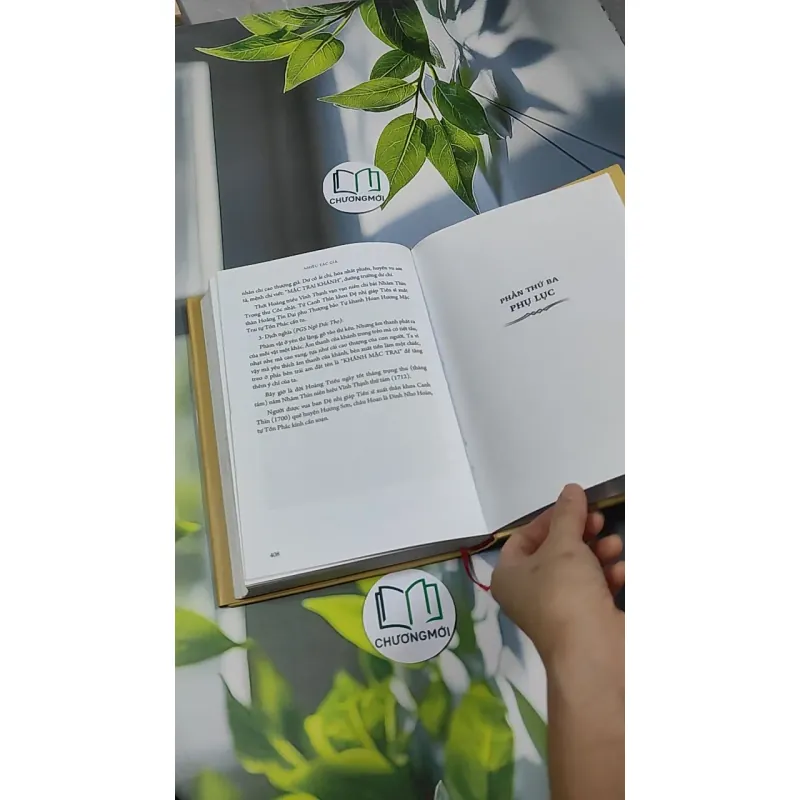 [MIỄN PHÍ BỌC SÁCH] Đinh Nho Hoàn: Thân Thế Và Sự Nghiệp - Hoàng Giáp 750797