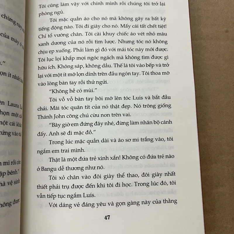 Cây Cam Ngọt Của Tôi 789551