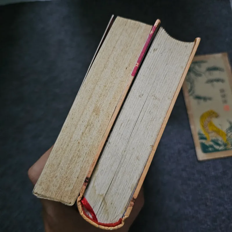 Vòng bảy người 736471