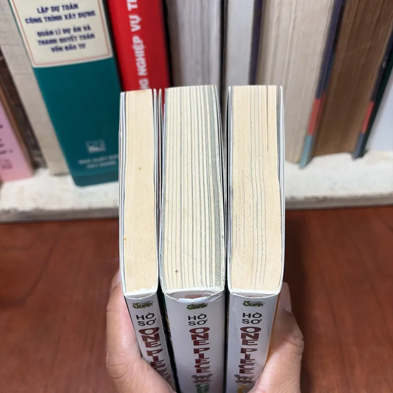 II Truyện Tranh: HỒ SƠ ONE PIECE - EIICHIRO ODA - 2019 731621