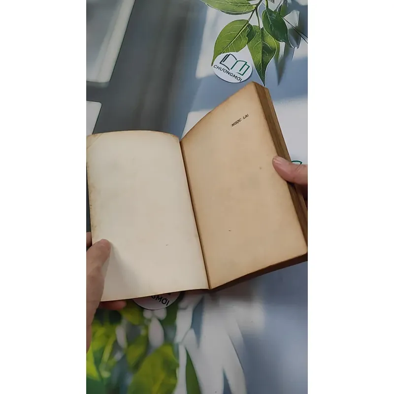 [XƯA] Ngọc Lai (1992) - Hoàng Thế Mai 776085