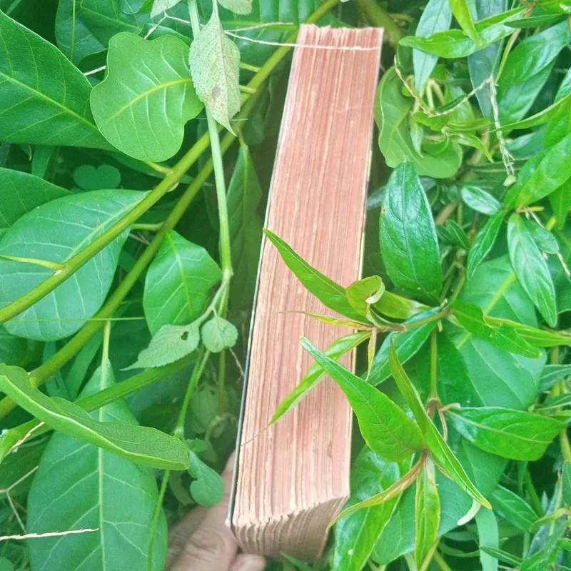 Sổ Tay Thầy Thuốc Thực Hành 1042512