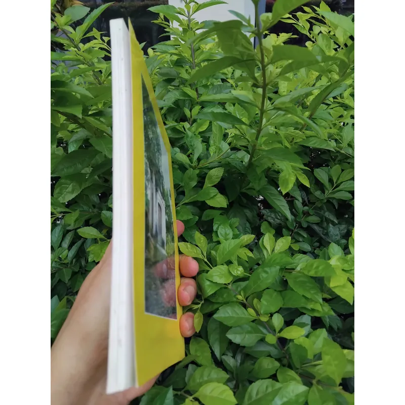 Đặng tộc đại tông phả ( phả chi trưởng họ Đặng )  981584