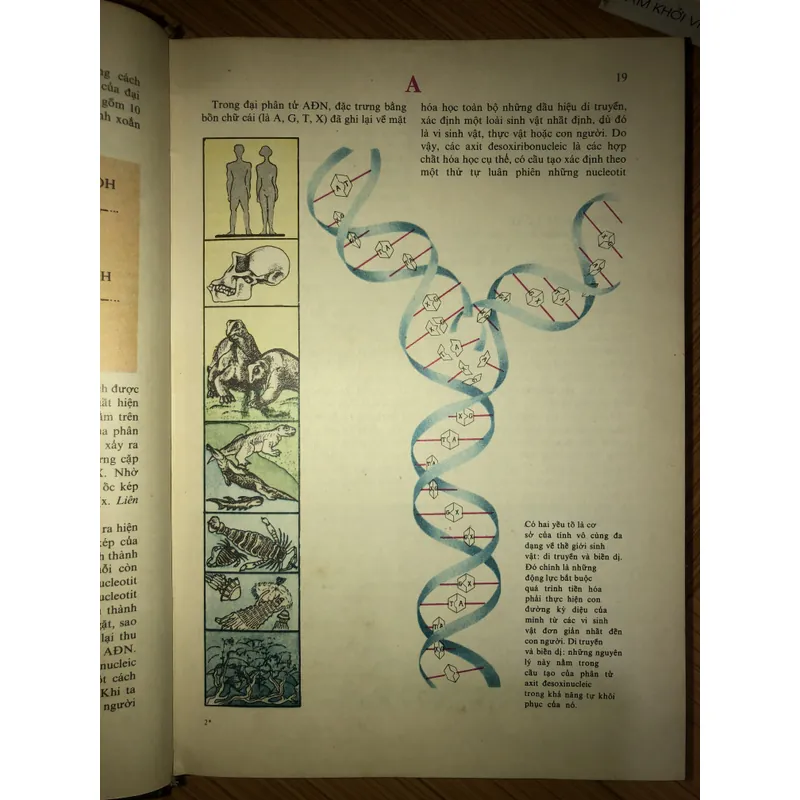 Từ điển bách khoa nhà hoá học trẻ tuổi  731806