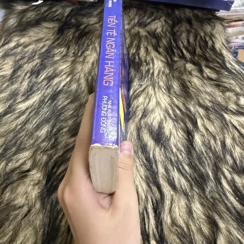 Tiền tệ ngân hàng 600656