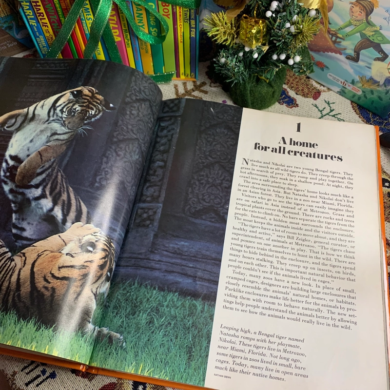 Sách tranh tiếng anh Zoos Without Cages (World Explorers Series 2), Used, Bìa cứng 335309