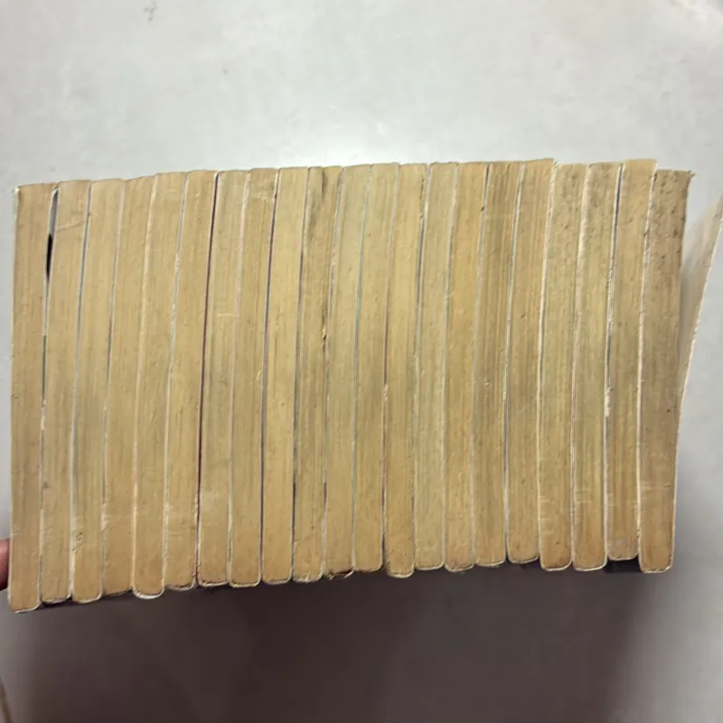 Người da đỏ lang thang 21/22t 961321