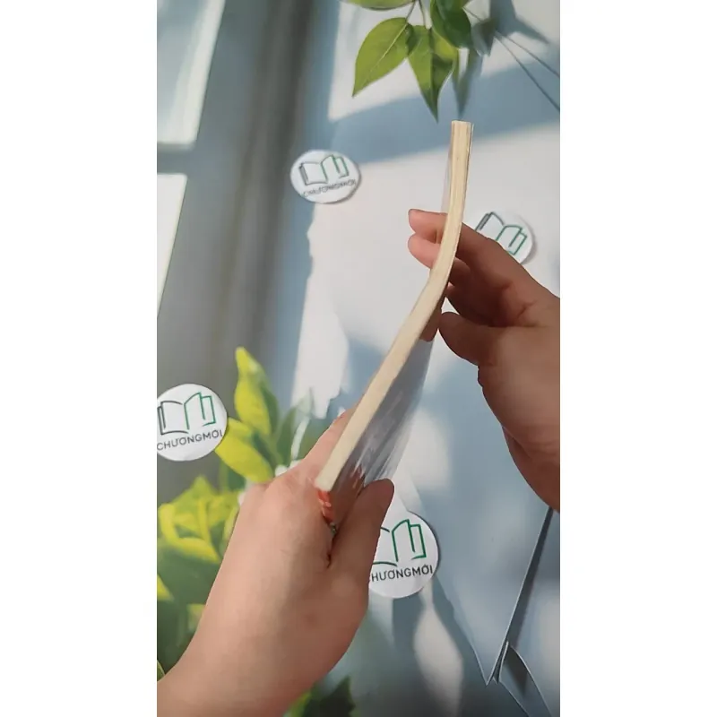 Theo Dòng Lịch Sử Việt Nam: Thực Dân Pháp Xâm Lược Nước Ta - Tập 39 - Lý Thái Thuận 970242