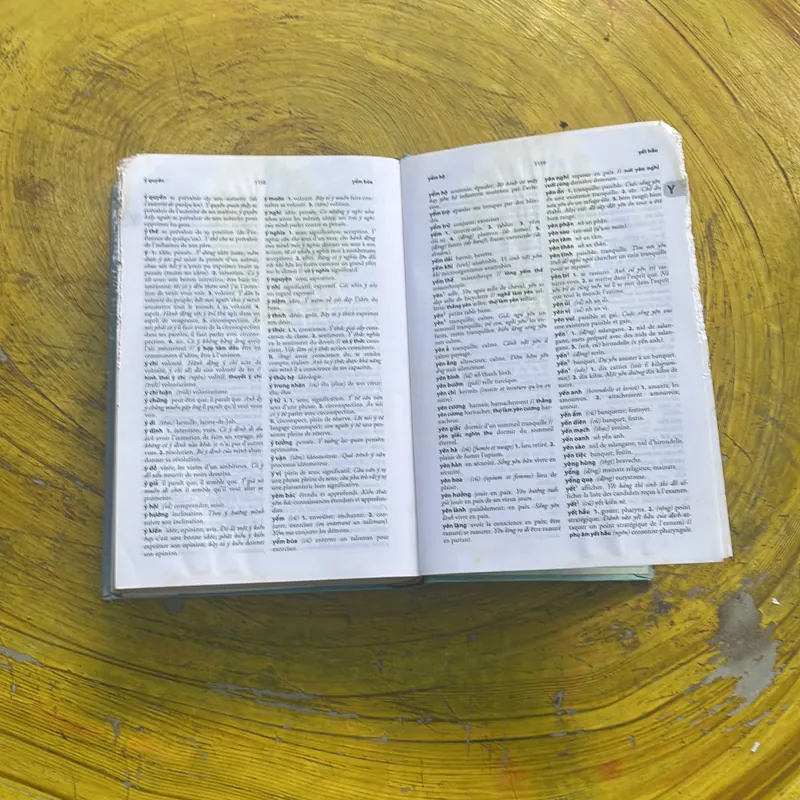 TỪ ĐIỂN VIỆT - PHÁP - LÊ KHẢ KẾ- NGUYỄN LÂN 575407