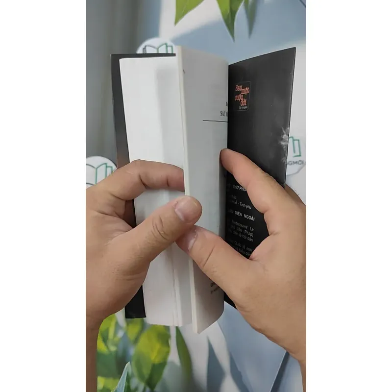 Sau Một Cuộc Đời - Bảo Cường 798321