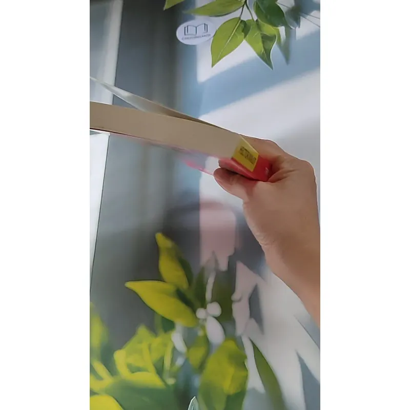 Trong gia đình - Hector Malot 607748