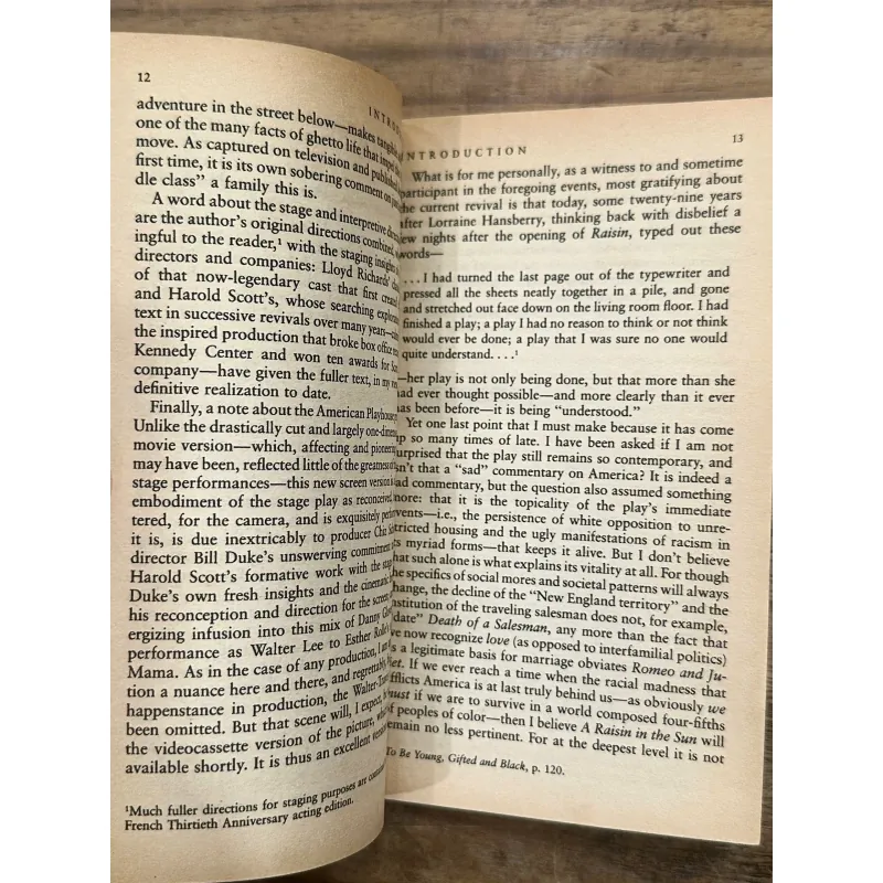 A Raisin in the Sun - Lorraine Hansberry 735422