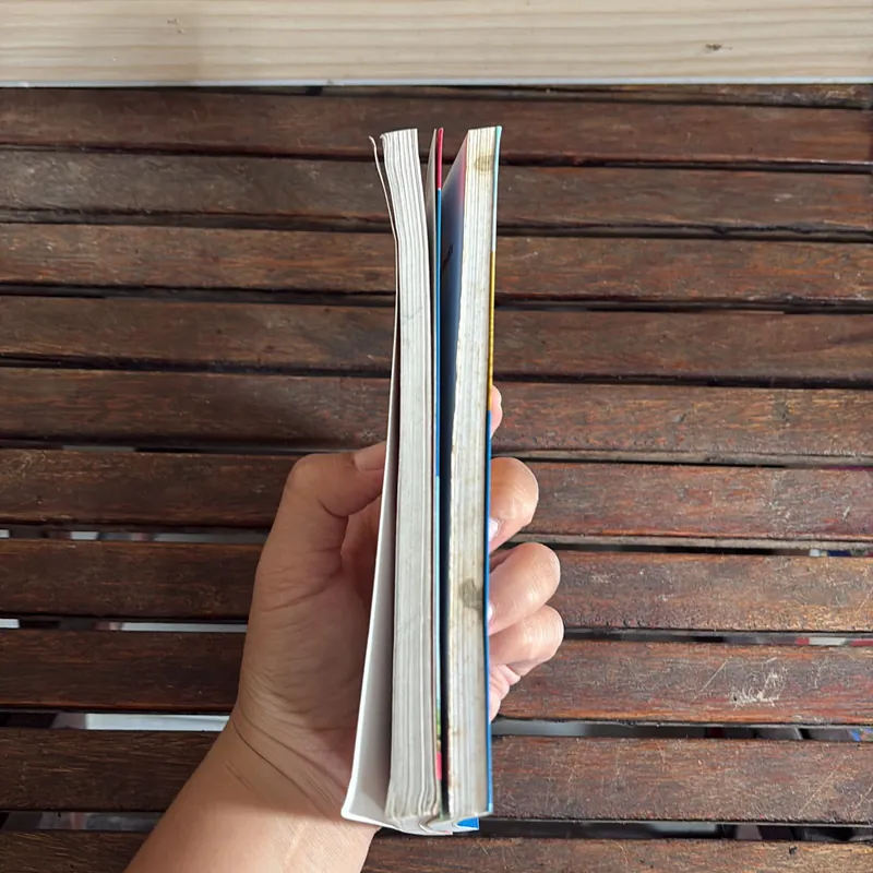 II Cẩm Nang Du Lịch: Sapa Trữ Tình + Mũi Né, Hòn Rơm, Phan Thiết - Phạm Côn Sơn - 2010 718574